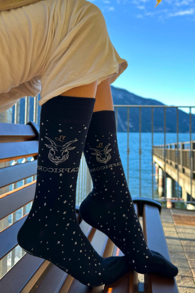 Capricorn zodiac sign socks