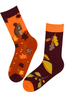 ANIMALS cotton socks with squirrels | Sokisahtel