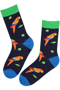 BILL blue cotton parrot socks | Sokisahtel