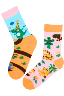 BRAYDEN cotton socks with dinosaurs | Sokisahtel