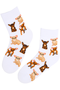 CHIHUAHUA white cotton socks | Sokisahtel