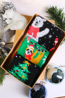 Подарочный набор из 3 пар праздничных носков COMETTE | Sokisahtel