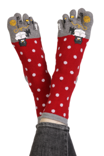 Хлопковые пальчиковые носки красного цвета в серый горошек с кошачьими мотивами GLENDA | Sokisahtel