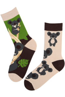 TREVOR cotton socks with koalas | Sokisahtel