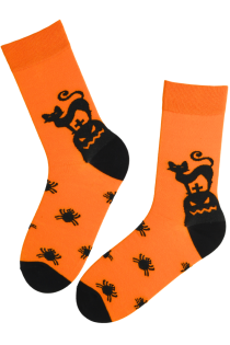 ZEAL orange Halloween socks with cats | Sokisahtel