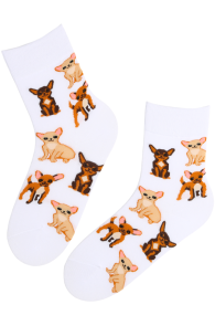 CHIHUAHUA white cotton socks