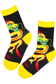 DRAGON 2024 year of the dragon cotton socks | Sokisahtel