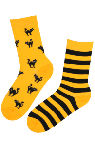 SCAREDY-CAT striped Halloween socks with a yellow cat | Sokisahtel