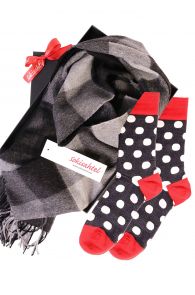 Подарочный комплект из шерстяных носков MERINO DOTS и шарфа из шерсти альпака для мужчин и женщин | Sokisahtel