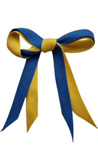 Tie in UKRAINIAN colours to support UKRAINE | Sokisahtel