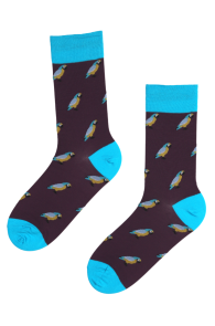 SUNDAY stylish suit socks with parrots | Sokisahtel